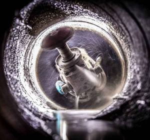 Eco Expert Salub S.R.L. - Servicii de Vidanjare Rosnov